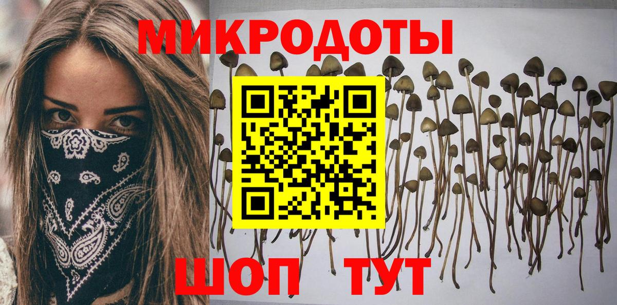 Псилоцибиновые грибы ЛСД  Вход с VPN  цена   Грозный  Псилоцибиновые грибы мухоморы 