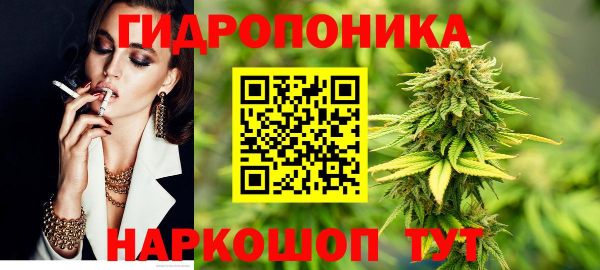 Бошки марихуана семена Грозный